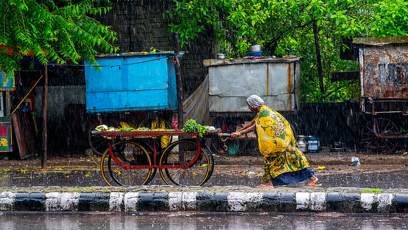 أنيلكومار باسي - الهند.