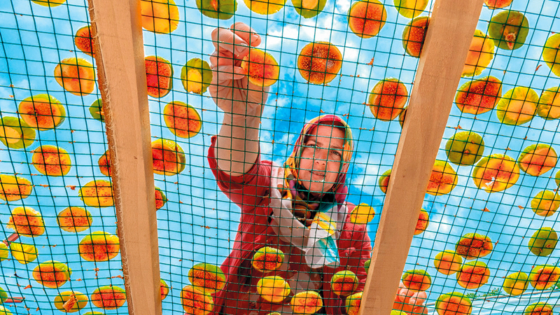 هاكان يارالي - تركيا.