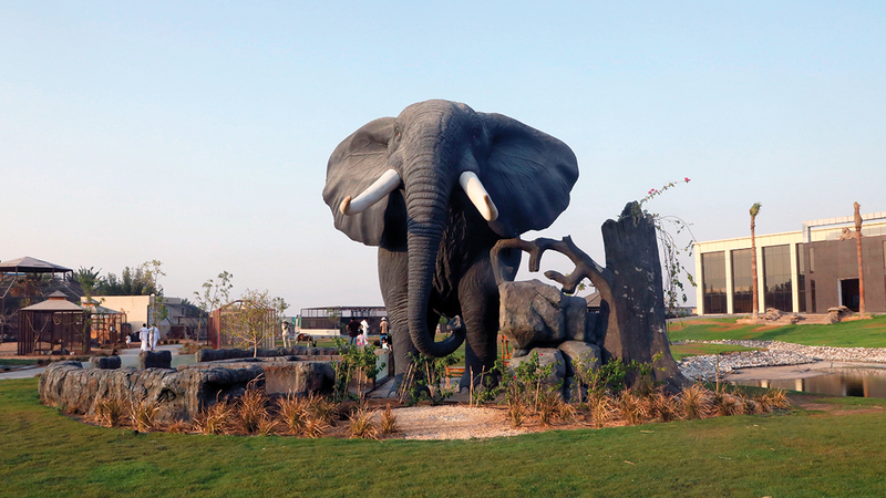 الحديقة وجهة سياحية وترفيهية جديدة في أم القيوين.   وام