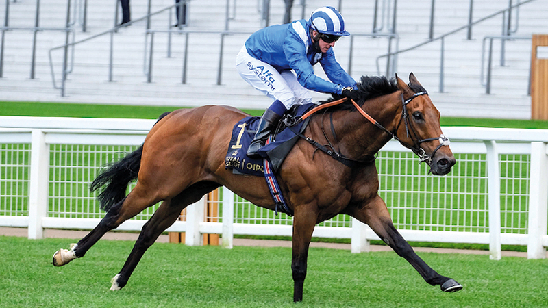 الجواد &laquo;بطاش&raquo;.      من المصدر