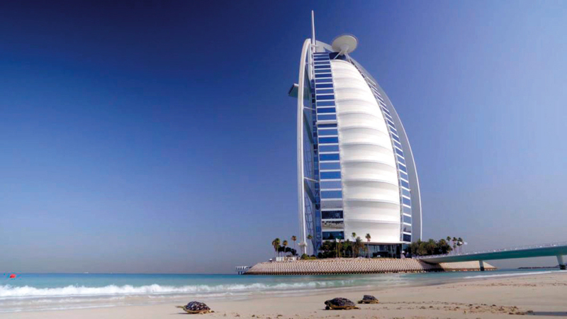 المشروع يهدف إلى رعاية السلاحف البحرية لإطلاقها مجدداً في البحر.  من المصدر