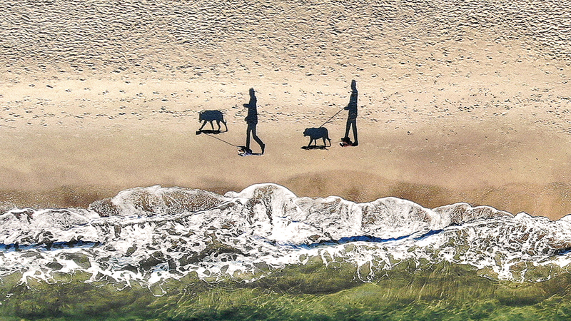 يفهن ساموتشانكو &laquo;أوكرانيا&raquo;. 	             من المصدر