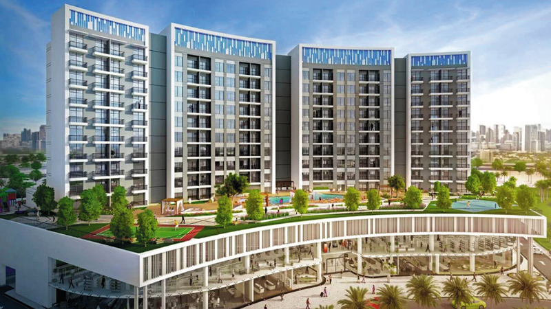 ويفز.   من المصدر