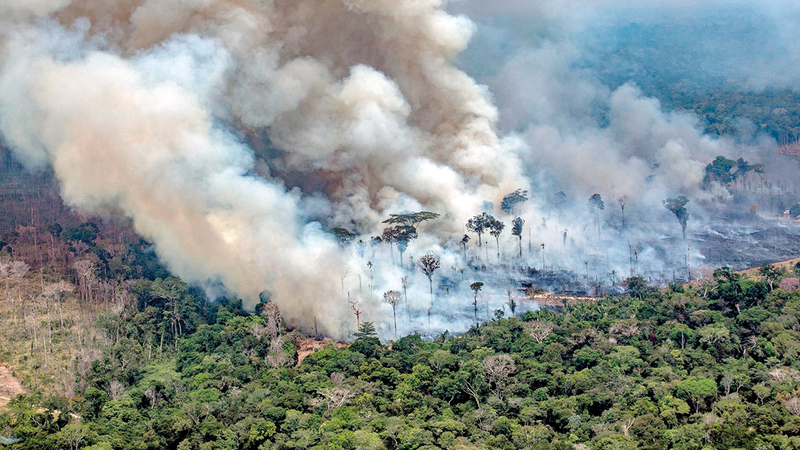 النيران ظلت تلتهم أشجار الأمازون على مدار السنين. غيتي