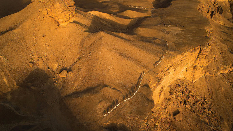 عبدالرحمن البريح - السعودية.