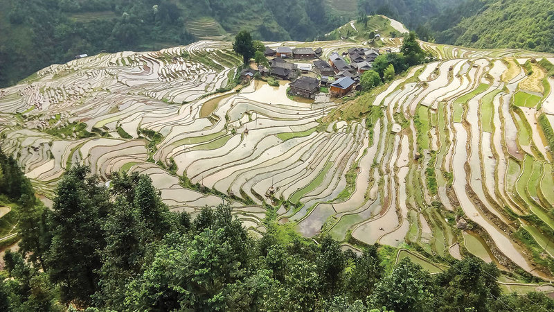 بيهسين تشين - تايوان.