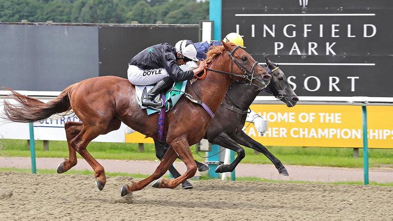 جانب من المنافسات.   من المصدر