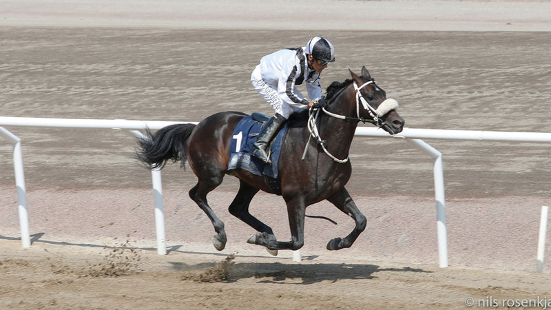 «رسمي الخالدية» في طريقه إلى خط النهاية بالمركز الأول.   من المصدر