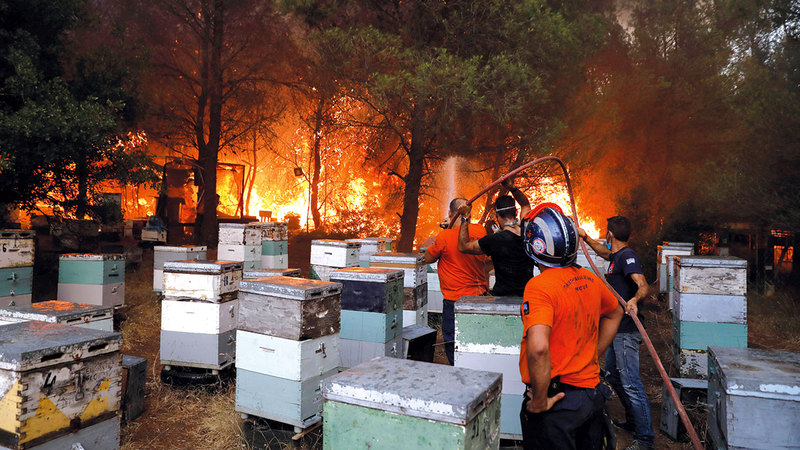 متطوعون يعملون على مكافحة النيران.  رويترز