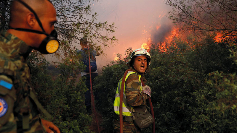 النيران تواصل التقدم في الغابات.  رويترز