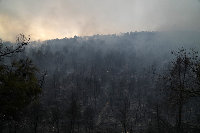 وعلى مدى الأيام العشرة الماضية، احترق 56655 هكتارا من الأرضي في اليونان، بحسب نظام معلومات الحرائق الأوروبي. بينما بلغ معدل الهكتارات التي احترقت في الفترة ذاتها بين عامي 2008 و2020 حوالى 1700.