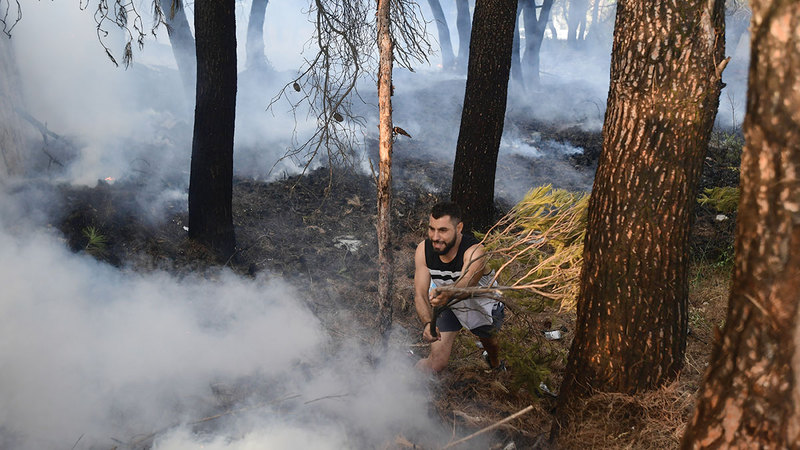 ألسنة اللهب التهمت مساحات واسعة من الغابات.   أ.ب