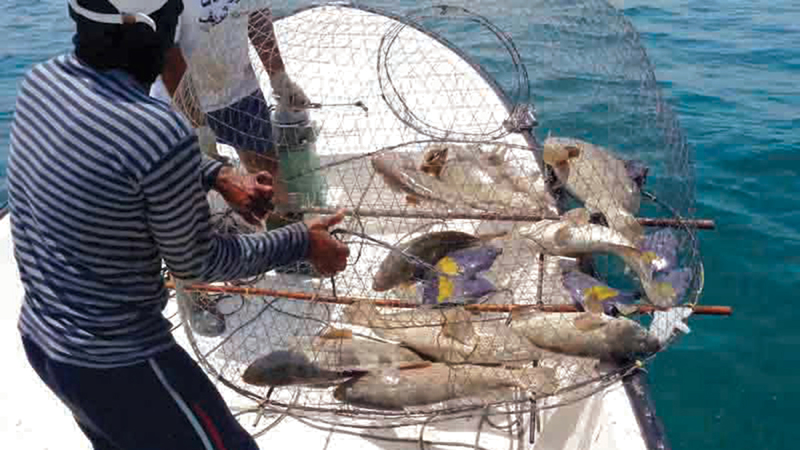 3700 درهم كلفة رحلة الصيد الواحدة متضمنة الوقود وأجرة العمال والنوخذة.   أرشيفية