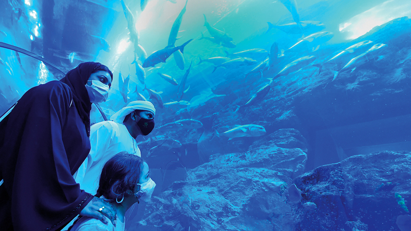 «دبي أكواريوم» من العناصر الأساسية ضمن الوجهات الترفيهية المتنوّعة في «دبي مول».  أرشيفية