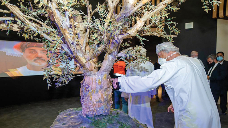 تصميم الجناح مستوحى من إحدى أيقونات الطبيعة في السلطنة وهي شجرة اللبان.   من المصدر