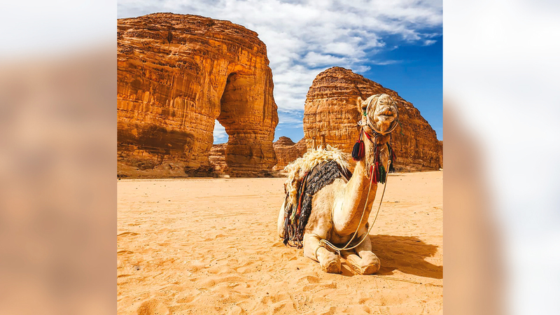 Al ula experience - gastmap
