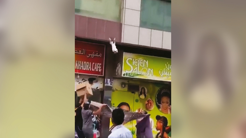 خلال عملية انقاذ القطة بعد سقوطها من الشرفة.  الإمارات اليوم