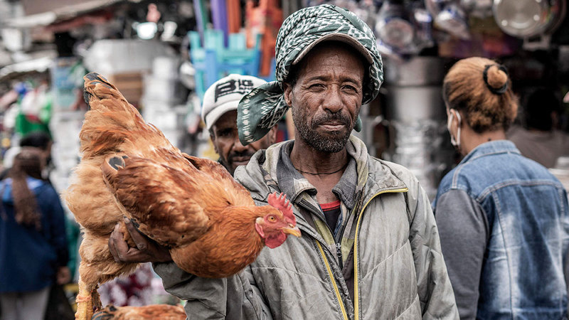 رجل يعرض دجاجة في سوق خلال الاستعدادات بالاحتفال بالعام الإثيوبي الجديد.  أ.ف.ب
