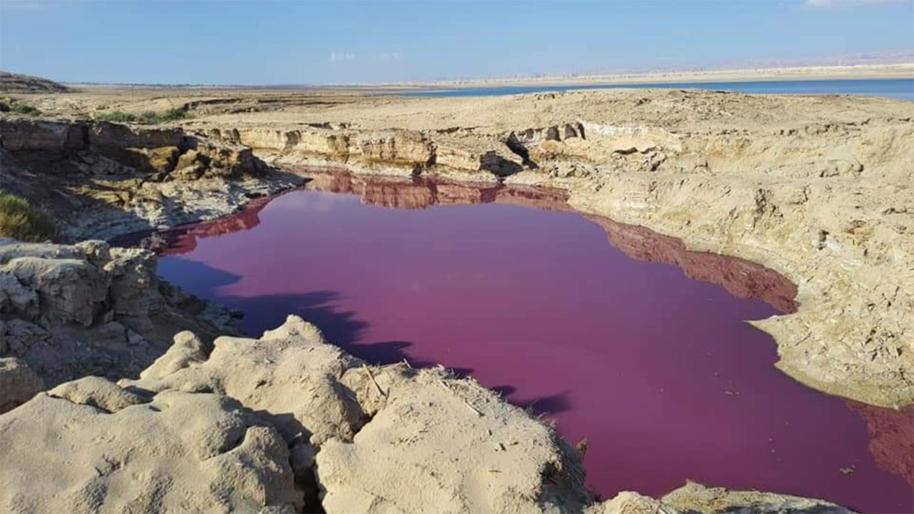 Есть мертвое озеро. Красное и Мертвое море. Иордания Мертвое море. Мертвое озеро Иордания.