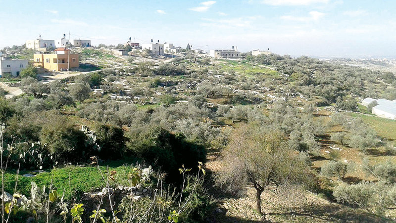 الفلسطينيون محرومون من دخول أراضيهم الزراعية.  من المصدر