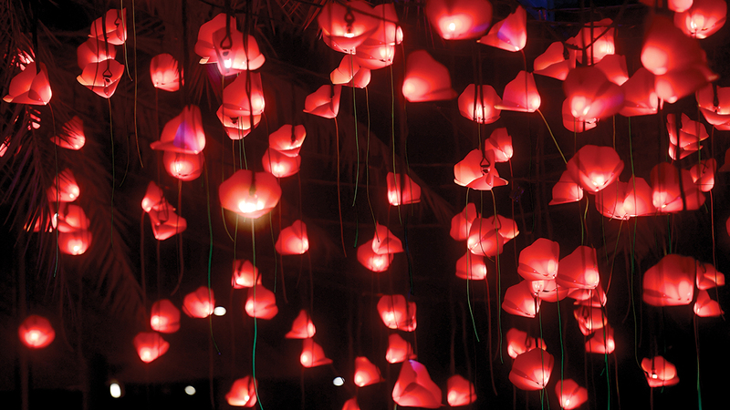 تصوير: باتريك كاستيلو.