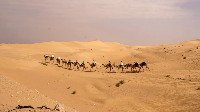 المحاضرات تحمل عناوين الموضوعات التالية: الناقة - الحلال - المحمل - الطير - النخل - القهوة الخيل - اللؤلؤ.  من المصدر