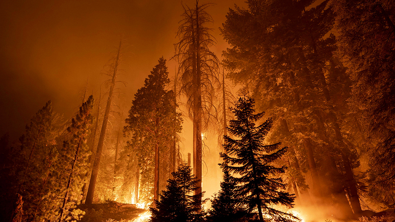 الحرائق المروعة في كاليفورنيا على الرغم من ضخامتها فإن المستقبل يخبئ نتائج أسوأ ناجمة عن تغير المناخ.   أ.ف.ب
