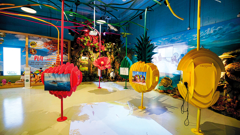 موريشيوس لا تضع شروطاً محدّدة بشأن الحد الأدنى لرأس المال المستثمر.  تصوير: أشوك فيرما