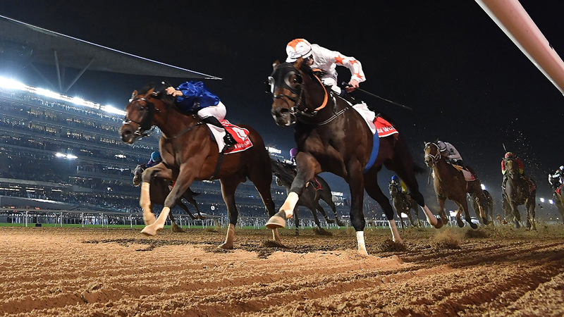 &laquo;المبادرة&raquo; تهدف إلى دعم قطاع السباقات بكادر فني إماراتي محترف.  من المصدر