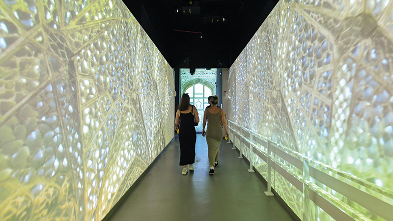 تصوير:  مصطفى قاسمي.