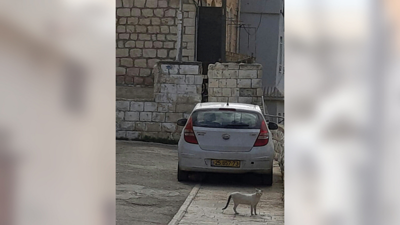 العقار الذي يستوطنه المستوطنون جوار منزل الشيوخي.   الإمارات اليوم