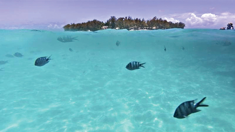 المحيطات بحاجة إلى الحماية من خطر التعديات البشرية.   أرشيفية