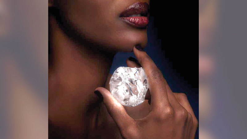 تصوير : أسامة أبوغانم