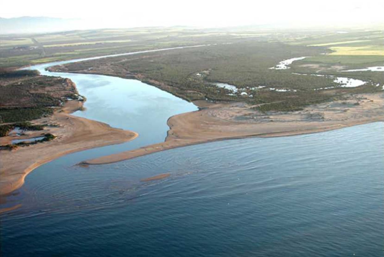 كارثة بيئية: أحد أكبر أنهار المغرب عاجز عن بلوغ مصبه