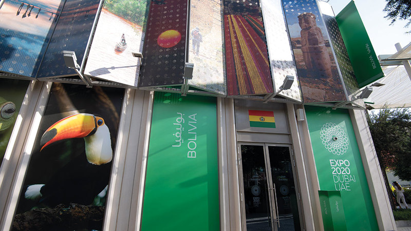 تصوير: أحمد عرديتي