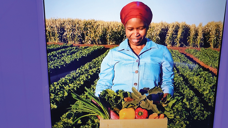 %80 من السكان يعملون في الزراعة.