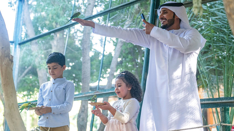 يستطيع الزوار الاستمتاع بالتجارب الأساسية المفضّلة لديهم.   من المصدر