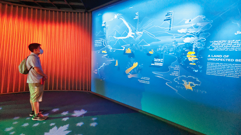 تصوير: أسامة أبوغانم