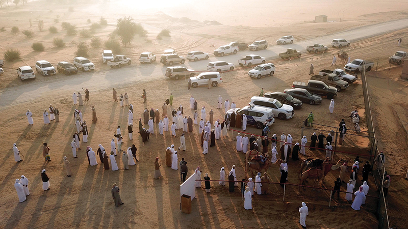 خلال توافد ملاك الإبل من الإمارات ودول الخليج منذ الصباح الباكر.    من المصدر.