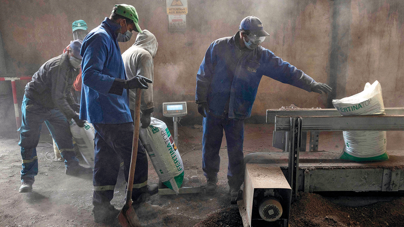 العمال يعبّئون أكياس السماد في مصنع «إيليفان فير» (الفيل الأخضر) في المنطقة الصناعية أغروبوليس بمدينة مكناس.   أ.ف.ب