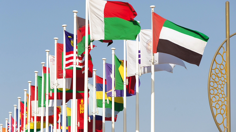 تصوير: أحمد عرديتي