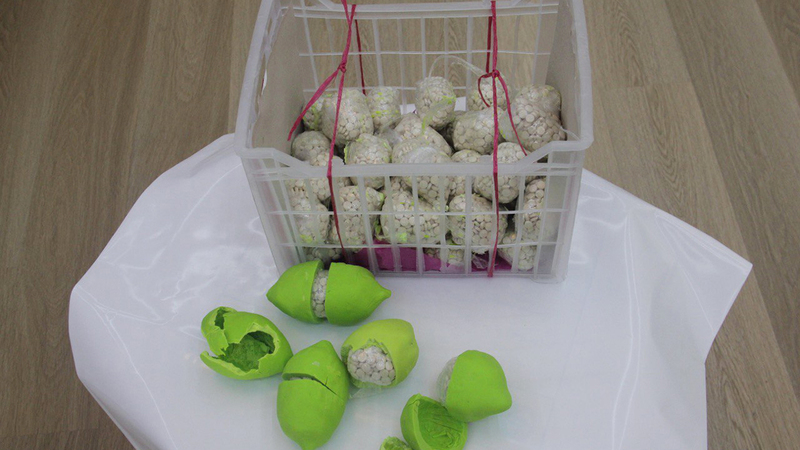 العصابة أخفت المخدرات في ليمون بلاستيكي.  من المصدر