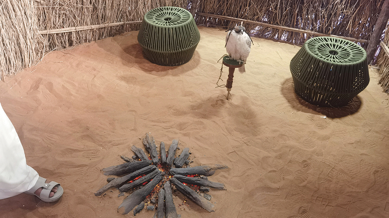 تصوير: أسامة أبوغانم