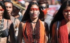 الصورة: امرأة من السكان الأصليين في البرازيل تتولى زعامة قبيلتها