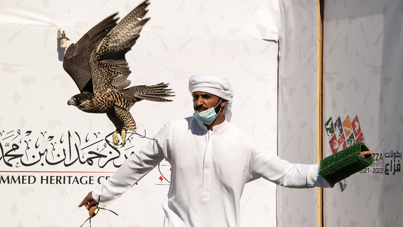 الانطلاقة في الفترة الصباحية شهدت منافسة قوية في أشواط جير شاهين العامة مُلاك.   من المصدر