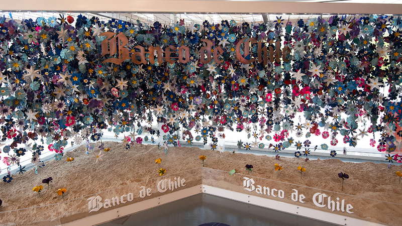 تصوير: أحمد عرديتي