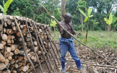 الصورة: غابات الكونغو الديمقراطية تتعرض للقطع من قبل شركات متعددة الجنسيات