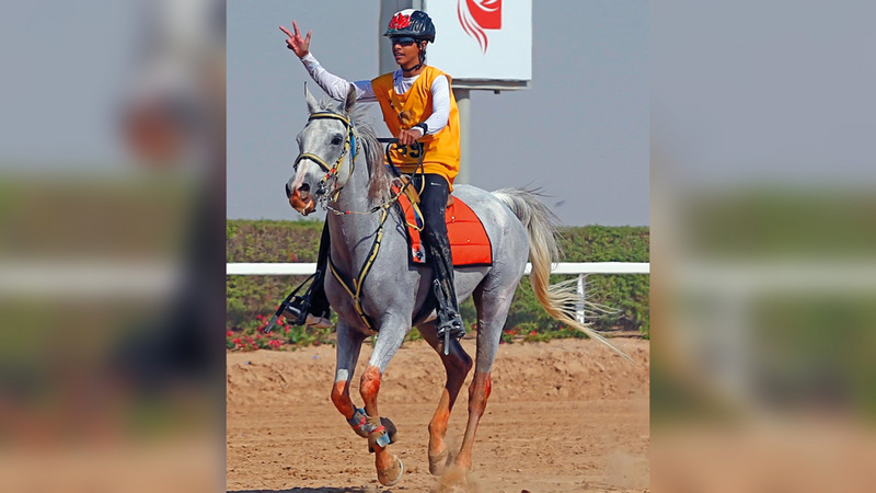 مطر الكتبي يشهر علامة النصر لحظة فوزه بلقب كأس ولي عهد دبي للقدرة.   من المصدر