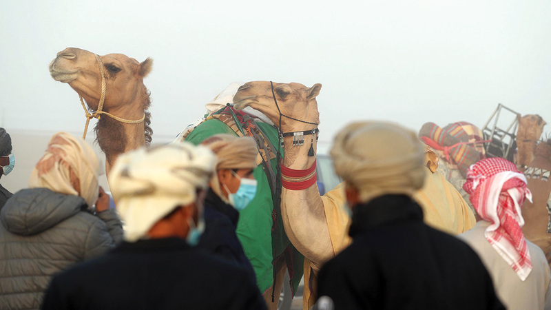 سوق الظفرة التراثي يفتح أبوابه يومياً من الرابعة حتى العاشرة مساءً.   من المصدر