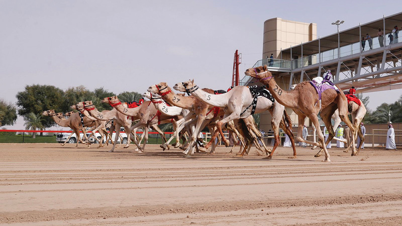 من سباقات الفترة المسائية.   من المصدر